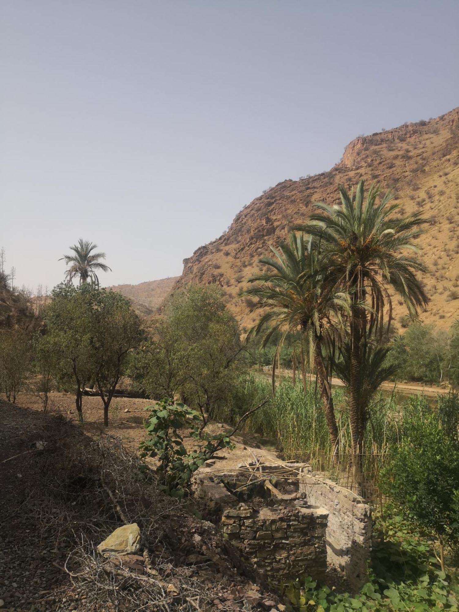 Auberge Kasbah Amoun Taliouine Extérieur photo